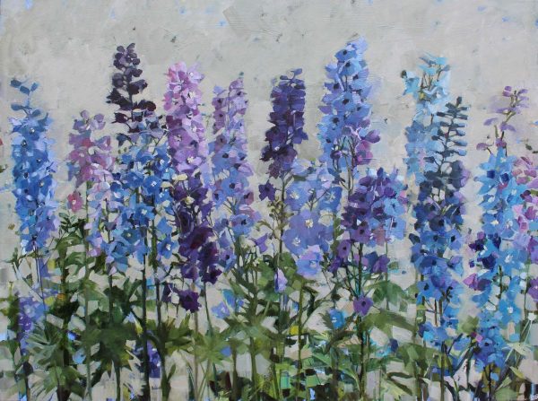 Blue Delphiniums on Grey