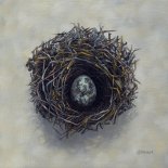 Nest by Graham Rice