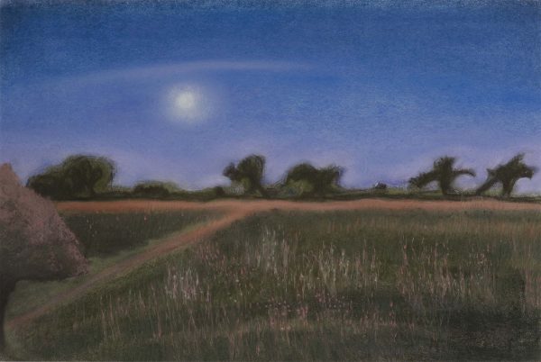 The Soft Bright Night