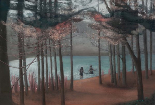 The Wild Swimmers