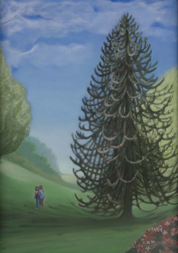 Passing the Monkey Puzzle Tree