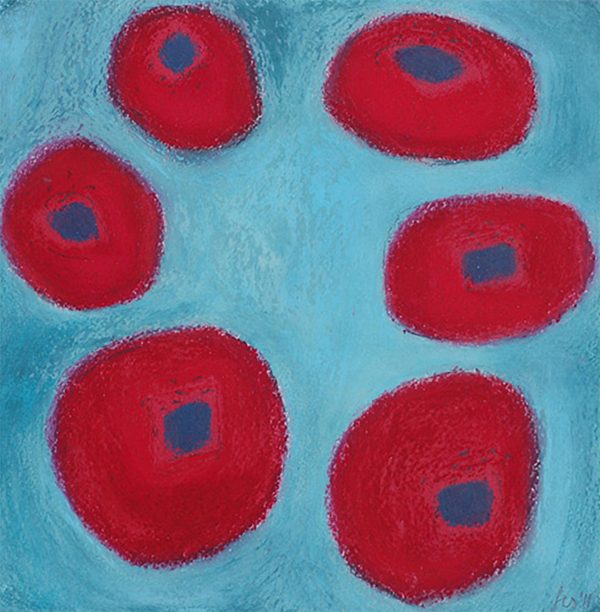 Red Anemone