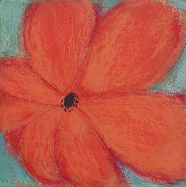 Orange Tulip