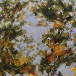 Spring Light Through The Branches