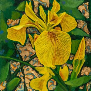 Iris