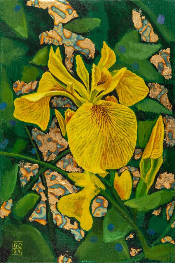 Iris