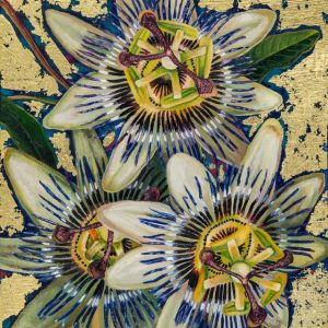 Passionflowers