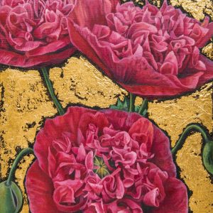 Poppies