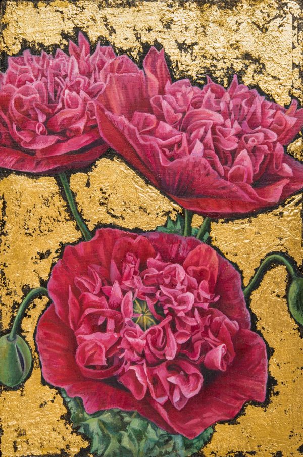 Poppies