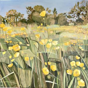 Buttercups and plantain, music meadow, Merton College, Oxford