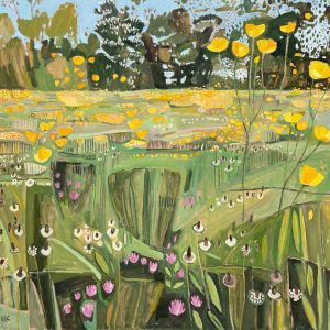 Buttercups and Plantain, Music Meadow, Merton College, Oxford